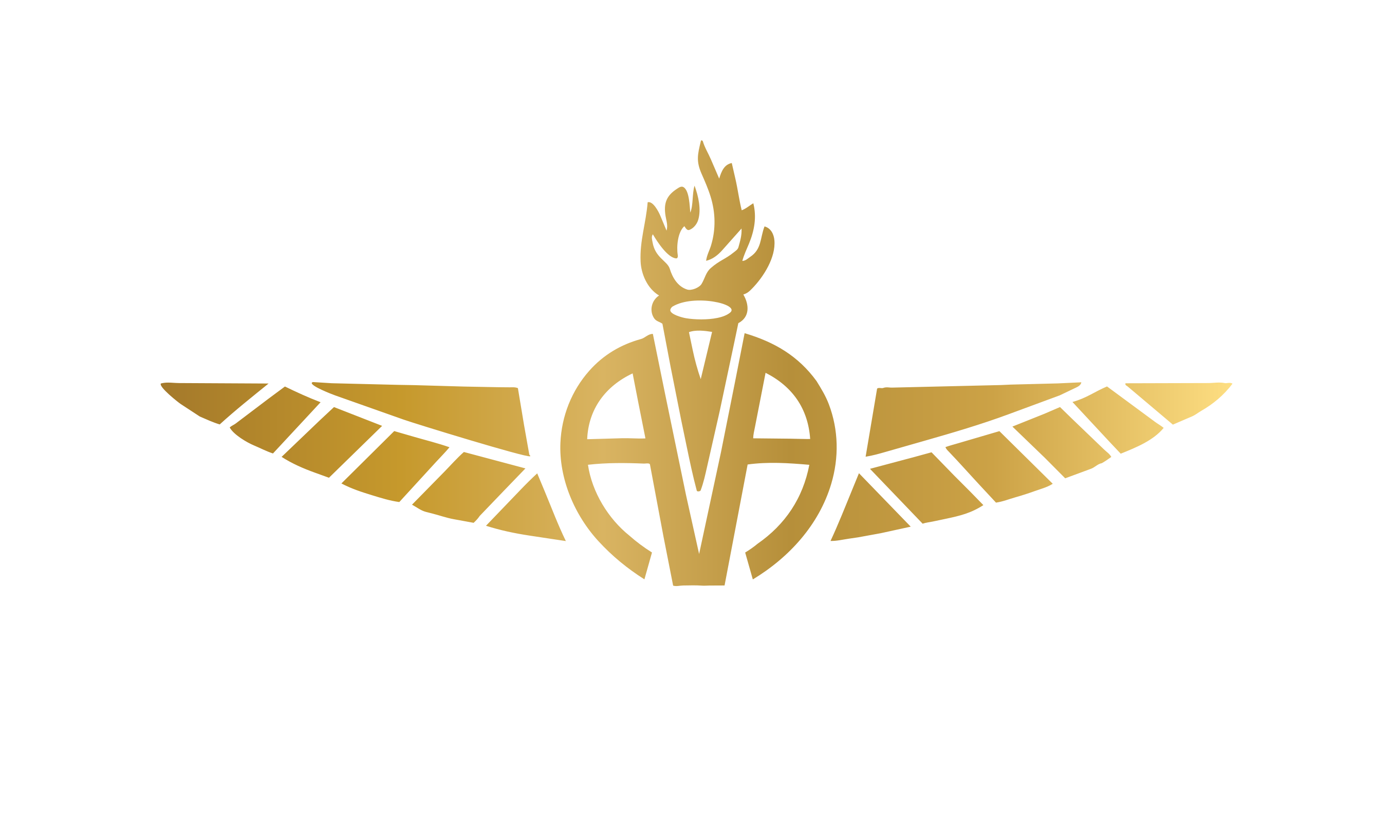 Agni Aero Sports Adventure Academy (AASAA)